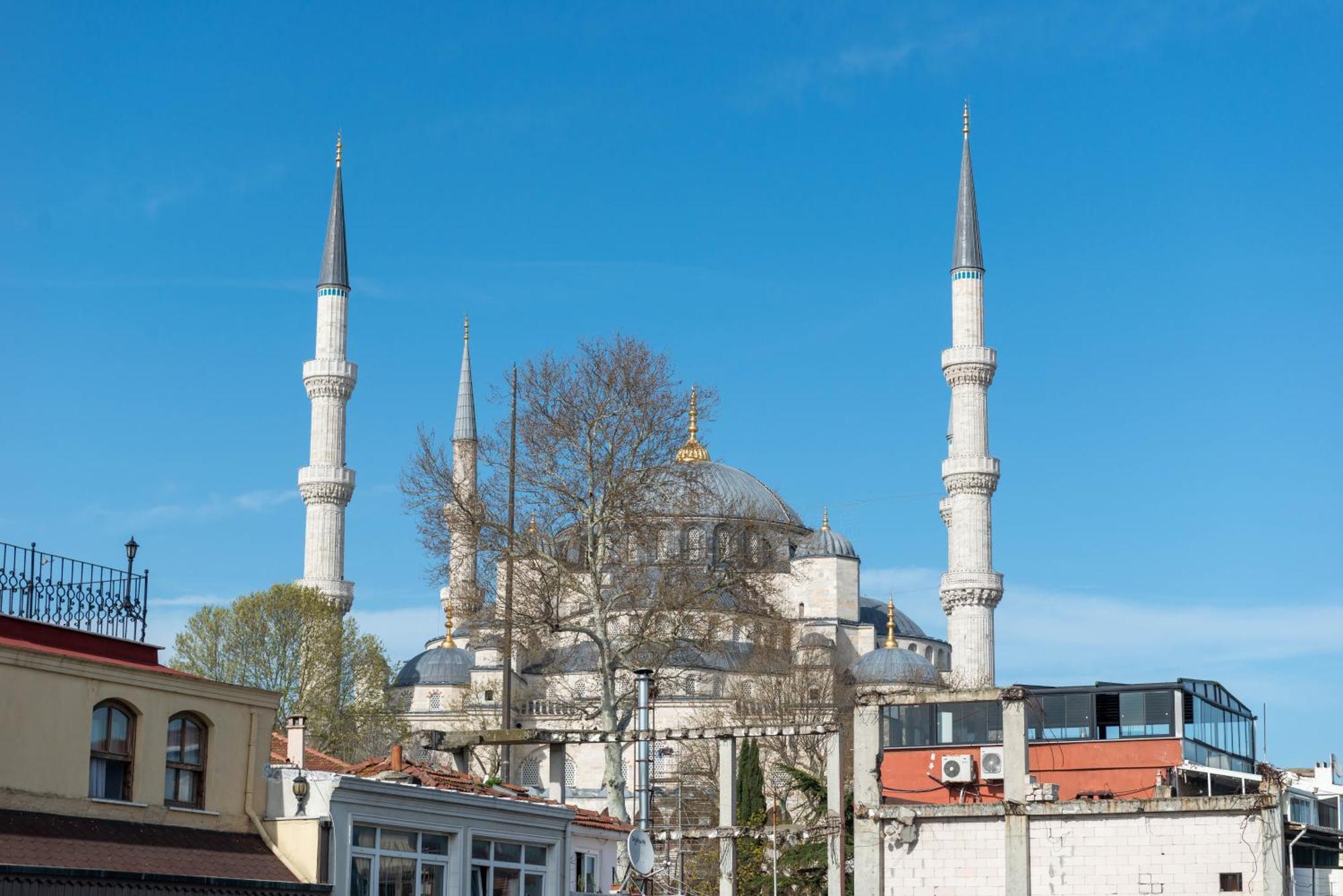Cetinluxuryhome * İstanbul